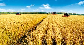 “十三五”全國農業(yè)農村信息化發(fā)展規(guī)劃